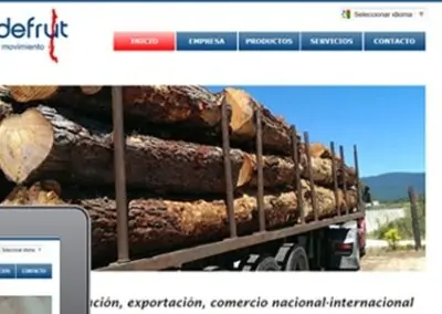 Diseño web en Chile