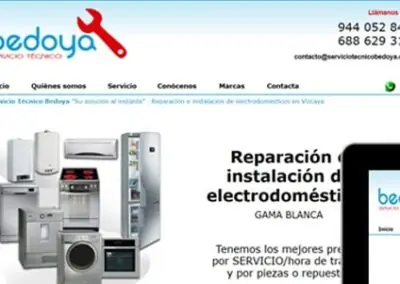 Diseño web para servicio