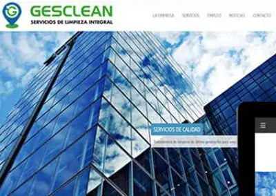 Elaboración web de limpieza